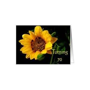  70th Birthday, yellow Gazania Card Toys & Games