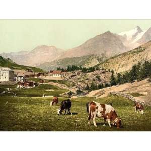  Vintage Travel Poster   Saas Fee a landscape Valais Alps 