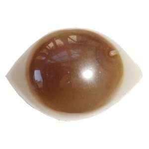 Third Eye Agate 01 Brown Iris Crystal Chalcedony Natural Indian River 