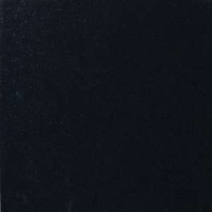   Black 12 X 12 Honed Granite Tile (10 Sq. Ft./Case)