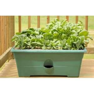  Container Gardening   Vegetables   18W x 12H   Peel and 