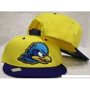  Delaware Blue Hens Snapback Logo Retro Cap Hat 2 Tone 