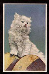 blue eyed white persian kitten cat belgium postcard  