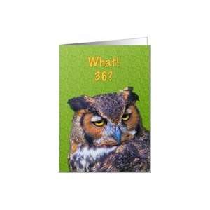  36th Birthday Card with Great Horned Owl Bird Card: Toys 