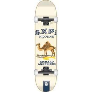  Expedition Angelides Camel Skeleton Complete   8.06 w/Mini 