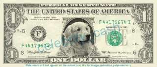 Golden Retriever Dollar Bill   Mint!  