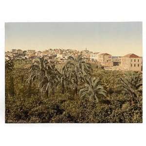   of From the garden, Jaffa, Holy Land, i.e. Israel: Home & Kitchen