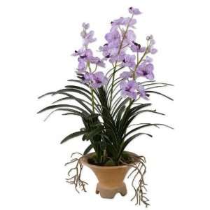 UT60007  Vanda Orchid in Crackle Glazed Pottery: Patio 