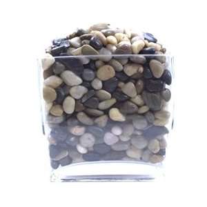  Assorted Polished Pebbles (10lb Bag) Arts, Crafts 
