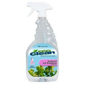  EcoClean Glass and Window Cleaner: Everything Else