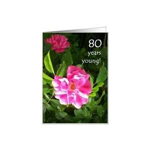  80th Birthday Card   Pink Roses Card Toys & Games
