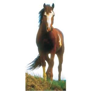  Mustang Horse Cardboard Cutout Standee Standup
