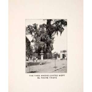 1906 Print Noche Triste Spanish Conquest Mexico Cortez Weeping Tree 