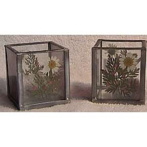  Arboretum Collection Votive Candle Pair