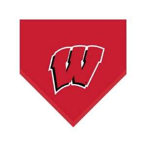 Wisconsin Badgers NCAA Team Fleece Collection Throw:  