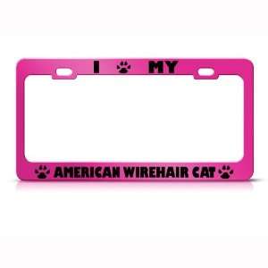  American Wirehair Cat Pink Metal license plate frame Tag 