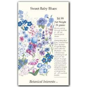  Sweet Baby Blues Seed: Patio, Lawn & Garden