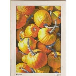  Pumpkins   24 x 36 Elizabeth Ross Decorative Banner Flag 