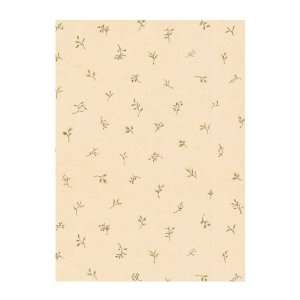   WL5551 Lake Forest Lodge Twig Toss Wallpaper, Almond: Home Improvement