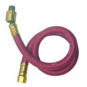   in. ID x 1/4 in. NPT, M x F Whip Hose 