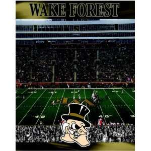  R and R Imports Inc. PZ WFU Wake Forest Demon Deacons 550 