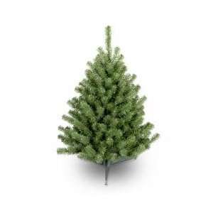    3 Eastern Spruce Christmas Tree   Tree Shop: Home & Kitchen