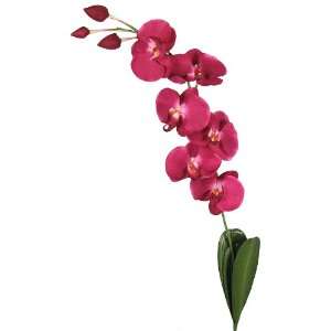   Stem Phalaenopsis Orchid Wedding Flower   Burgundy k9: Home & Kitchen