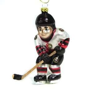   Ottawa Senators NHL Glass Hockey Player Ornament (4): Sports