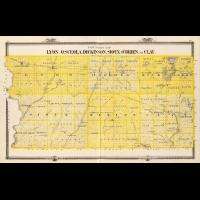 1875 ILLUSTRATED HISTORICAL ATLAS IOWA STATE 216 maps lithographs 