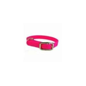  Hamilton Buckle Nylon Dog Collar Hot Pink 1 3/8 X 10: Pet 