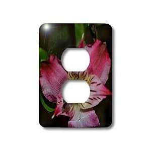 WhiteOak Photography Floral Prints   Photo of Tiger Lily Front   Light 