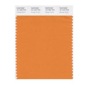   SMART 16 1253X Color Swatch Card, Orange Ochre: Home Improvement