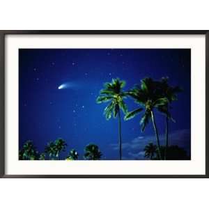  Comet Hale Bopp with Palm Trees, Kaanapali, Hawaii, USA 