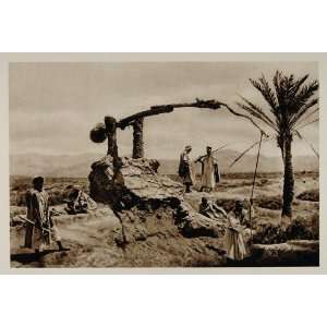  1924 Tunisia Water Well Desert Palm Lehnert & Landrock 