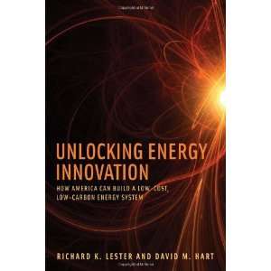    Cost, Low Carbon Energy System [Hardcover]: Richard K. Lester: Books