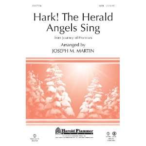   The Herald Angels Sing   From Journey Of Promises Musical Instruments