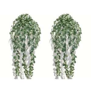  2 x 35 Pothos Ivies, Artificial Plants