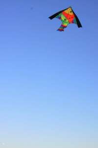 bayerw2000 store large tropical fish kite children outdoor fun gift