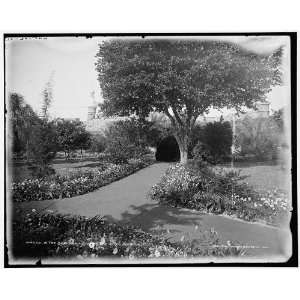  In the gardens at Tampa Bay Hotel,Florida: Home & Kitchen