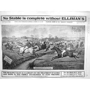 1908 ADVERTISEMENT ELLIMANS UNIVERSAL EMBROCATION HORSE 