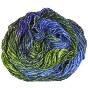   : Noro Silk Garden Yarn 354 Yellow/Green/Blue: Arts, Crafts & Sewing