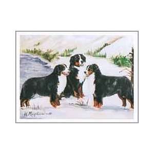  Bernese Mountain Dog Trio Notecards: Everything Else