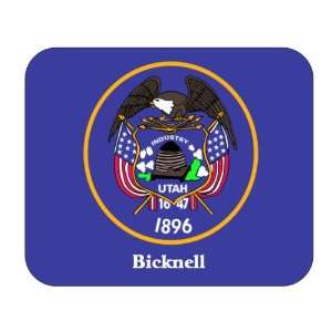  US State Flag   Bicknell, Utah (UT) Mouse Pad Everything 