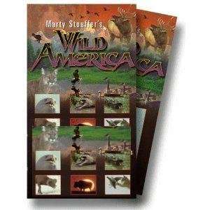  Marty Stouffers Wild America Cuddly Creatures: Everything 