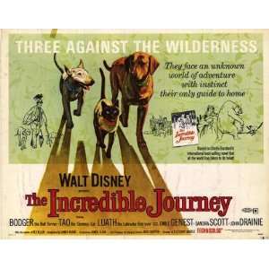  The Incredible Journey   Movie Poster   11 x 17