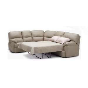    Bresent Leather Reclining Sleeper Sectional