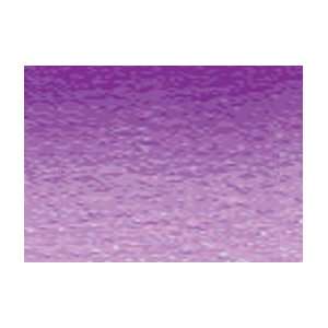   Watercolor  15ml Permanent Violet Blueish Arts, Crafts & Sewing