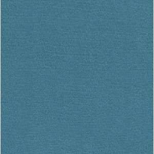   Lycra Jersey Knit Teal Blue Fabric By The Yard: Arts, Crafts & Sewing