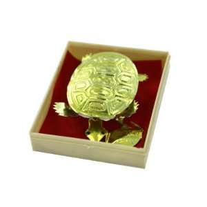  gold tin turtle in plastic box   Pack of 24