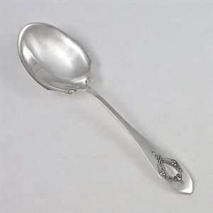  Mount Vernon by Lunt, Sterling Preserve Spoon Kitchen 